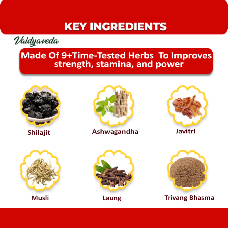 STAMINA PLUS | Natural Ayurvedic Supplement for Enhanced Vitality & Endurance